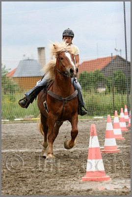IMG_4832n.jpg (38,2 KB)