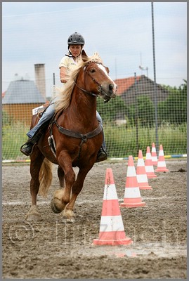 IMG_4833n.jpg (39,6 KB)