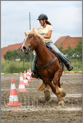 IMG_4834n.jpg (39,8 KB)