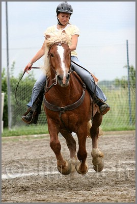 IMG_4836n.jpg (37,6 KB)