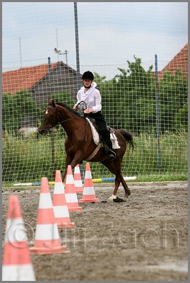 IMG_4838n.jpg (41,0 KB)