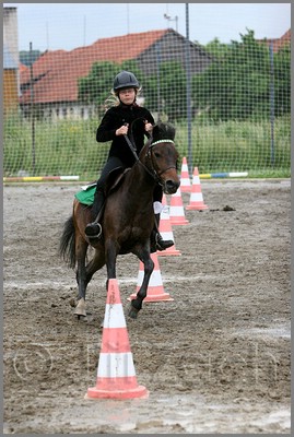 IMG_4846n.jpg (44,5 KB)