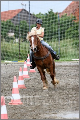 IMG_4862n.jpg (46,3 KB)
