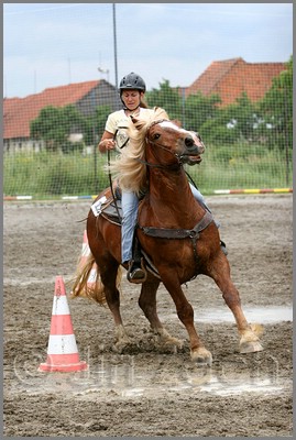 IMG_4865n.jpg (42,3 KB)