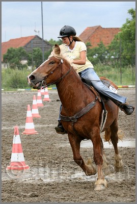IMG_4867n.jpg (44,9 KB)