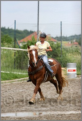 IMG_4868n.jpg (40,7 KB)