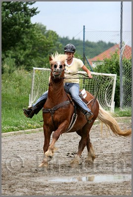 IMG_4869n.jpg (45,8 KB)