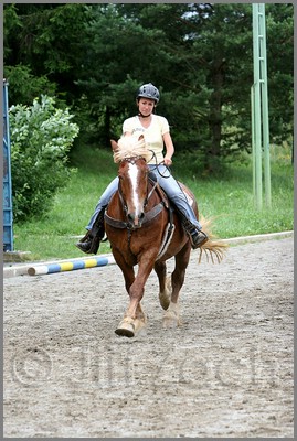 IMG_4871n.jpg (49,3 KB)