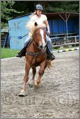 IMG_4875n.jpg (51,6 KB)