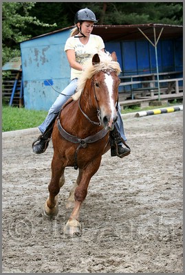 IMG_4876n.jpg (49,7 KB)