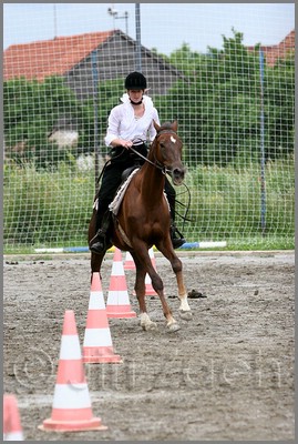 IMG_4879n.jpg (47,6 KB)
