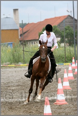 IMG_4880n.jpg (42,0 KB)