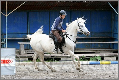 IMG_4910n.jpg (42,0 KB)