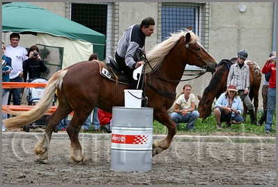 IMG_4980n.jpg (48,6 KB)