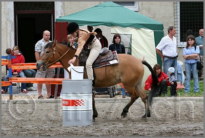 IMG_4983n.jpg (48,4 KB)