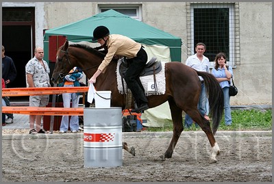 IMG_4991n.jpg (46,7 KB)
