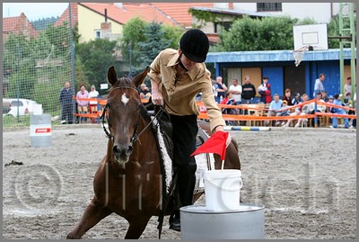 IMG_4994n.jpg (47,6 KB)