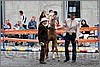 IMG_4381n.jpg(49,7 KB)