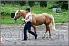 IMG_4388n.jpg(51,2 KB)