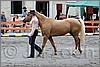 IMG_4390n.jpg(47,1 KB)