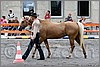 IMG_4391n.jpg(46,2 KB)