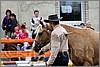 IMG_4392n.jpg(35,9 KB)
