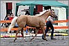 IMG_4399n.jpg(46,9 KB)