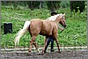 IMG_4400n.jpg(50,6 KB)