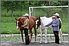 IMG_4401n.jpg(51,0 KB)