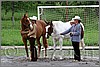 IMG_4403n.jpg(51,6 KB)