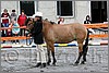 IMG_4406n.jpg(45,5 KB)