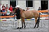IMG_4407n.jpg(45,6 KB)
