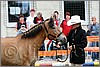 IMG_4408n.jpg(37,1 KB)