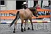 IMG_4409n.jpg(45,1 KB)