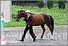 IMG_4412n.jpg(44,9 KB)
