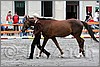 IMG_4413n.jpg(46,2 KB)