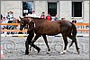 IMG_4414n.jpg(47,3 KB)