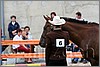 IMG_4416n.jpg(29,2 KB)