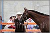 IMG_4418n.jpg(29,6 KB)