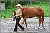 IMG_4419n.jpg(44,3 KB)