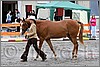 IMG_4421n.jpg(45,9 KB)