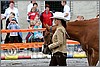 IMG_4422n.jpg(36,8 KB)