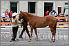 IMG_4424n.jpg(44,1 KB)