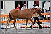 IMG_4427n.jpg(46,0 KB)