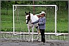 IMG_4433n.jpg(49,5 KB)
