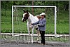 IMG_4434n.jpg(48,4 KB)