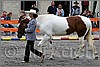 IMG_4438n.jpg(43,4 KB)