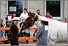 IMG_4444n.jpg(34,4 KB)