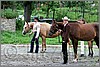 IMG_4447n.jpg(54,1 KB)