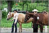 IMG_4448n.jpg(42,9 KB)